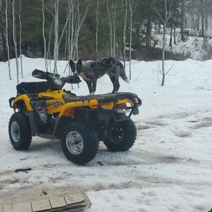 Meet your Posher, Dave